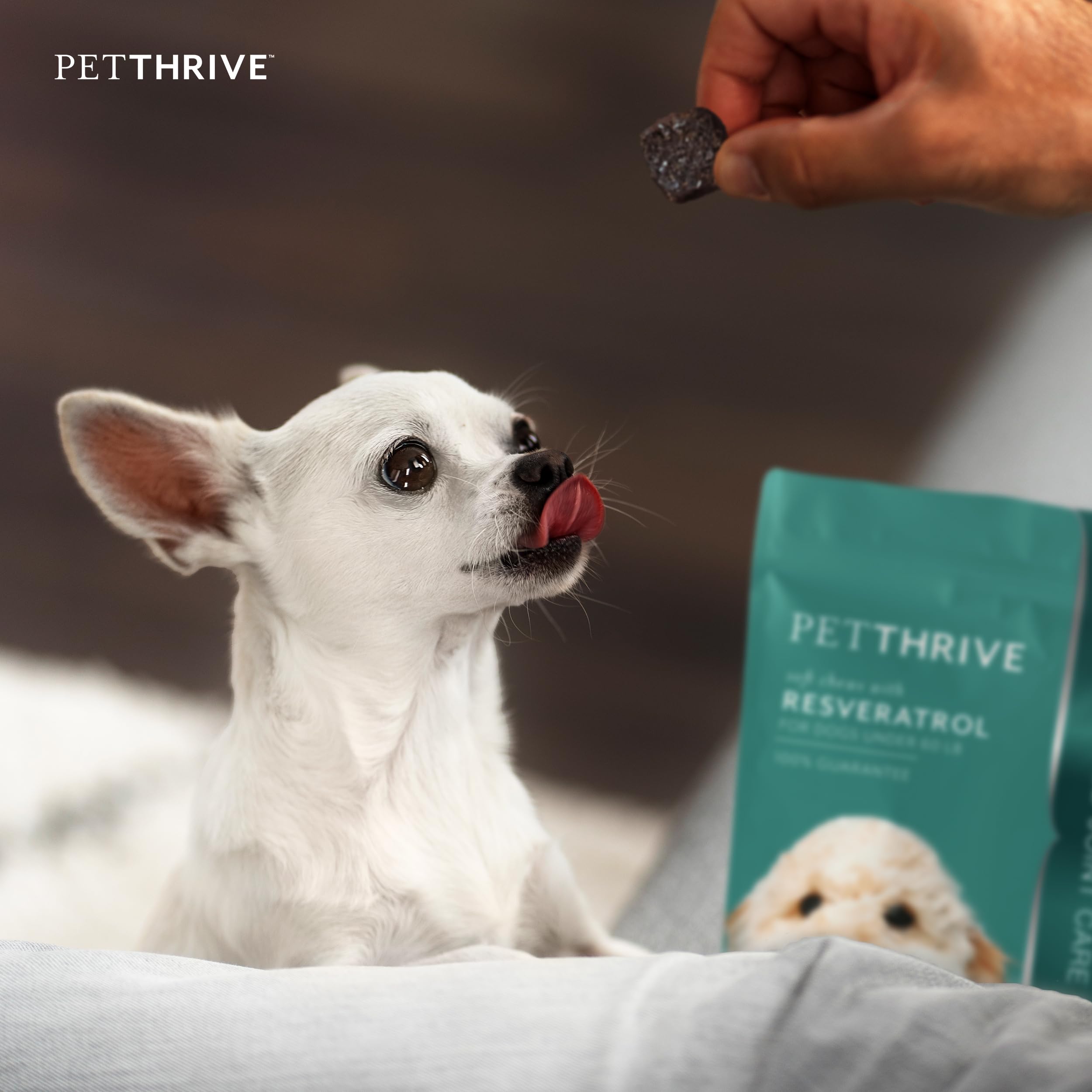 PetThrive chews display glucosamine, chondroitin, and hyaluronic acid ingredients for joints.