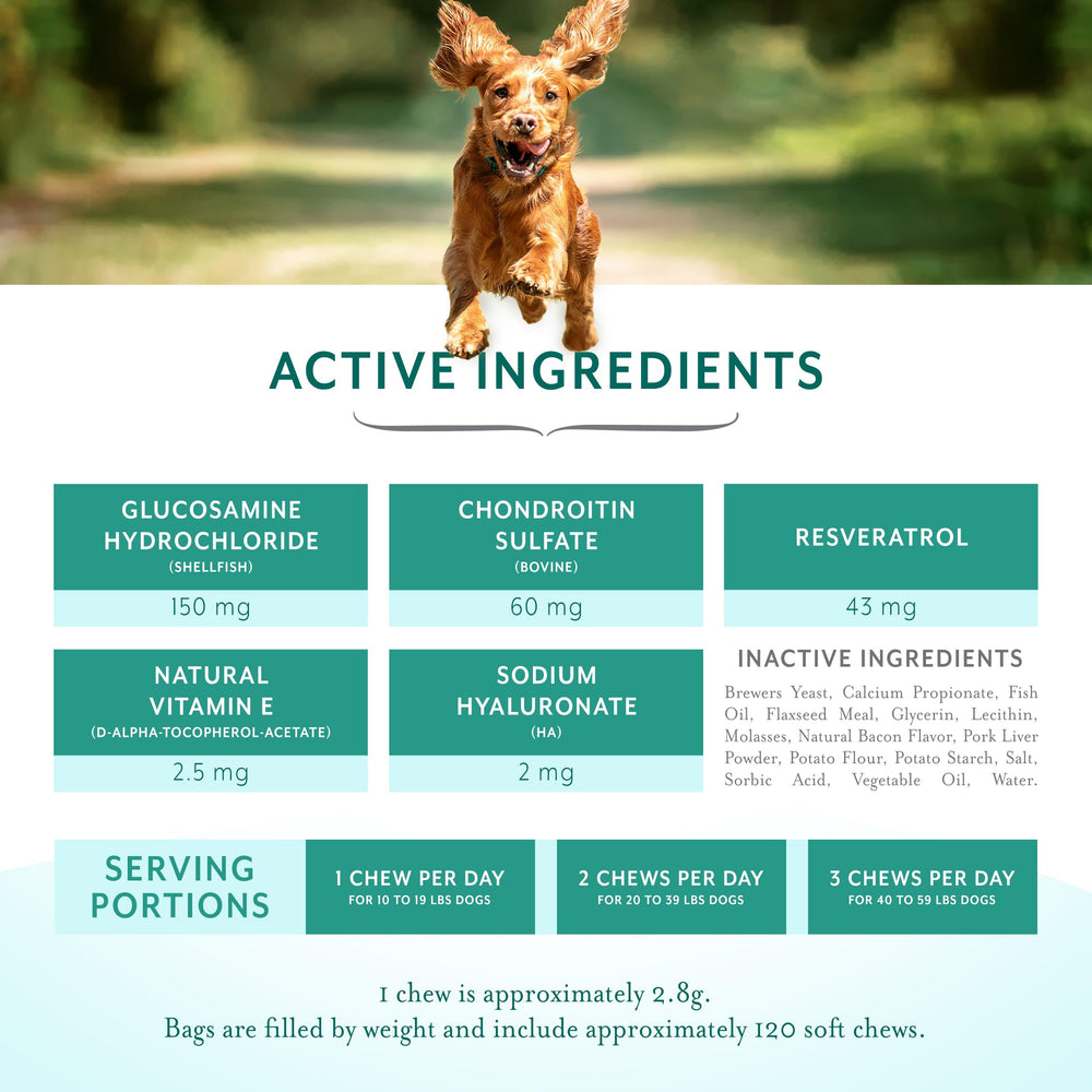 PetThrive bottle of soft chews being poured, USA made canine supplement.