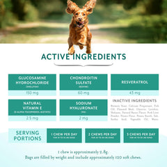 PetThrive bottle of soft chews being poured, USA made canine supplement.