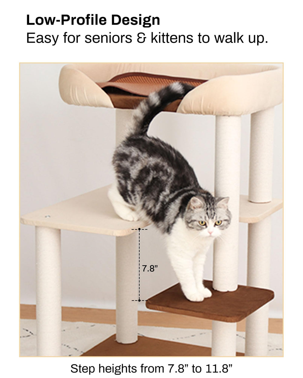 PETTIFUL interactive ball toys engage cats during solo play