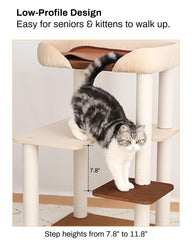PETTIFUL interactive ball toys engage cats during solo play