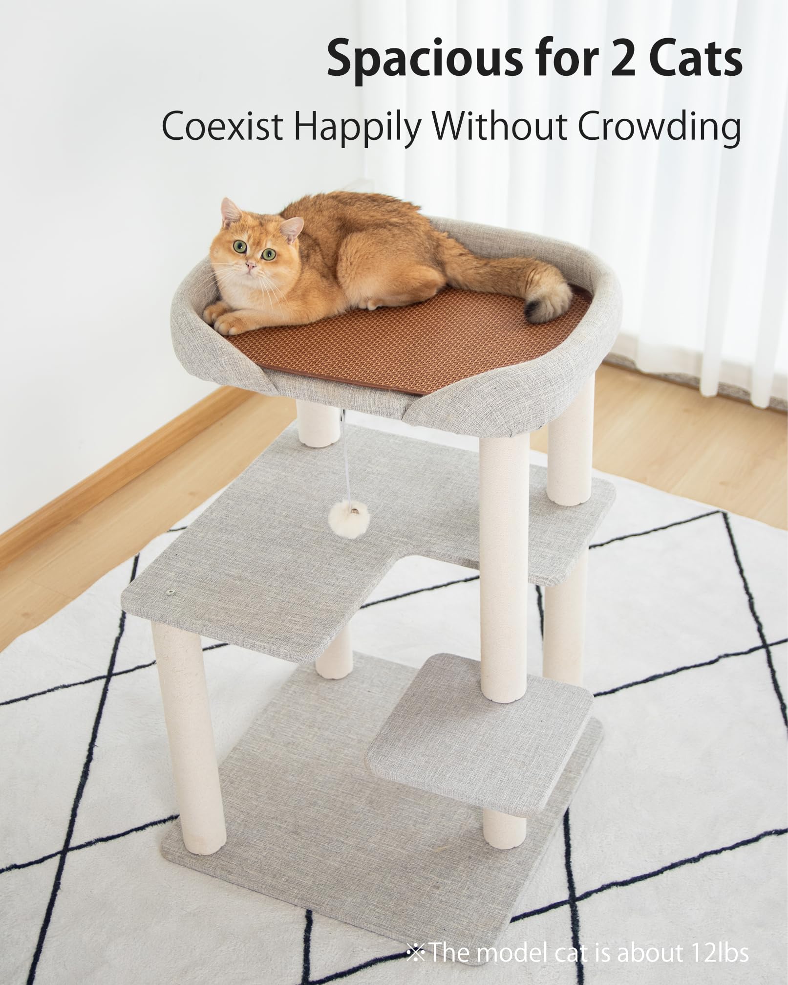 Pettiful cat tree tower jump platform enables higher, engaging play