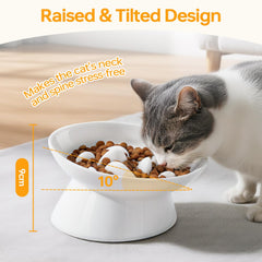Pettom ceramic anti-vomiting design slows eating for calmer meals
