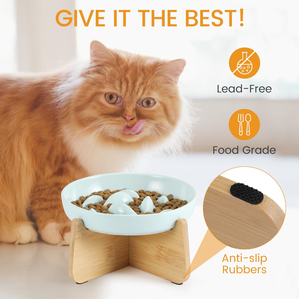 PETTOM dishwasher-safe ceramic bowl for convenient cleanup.