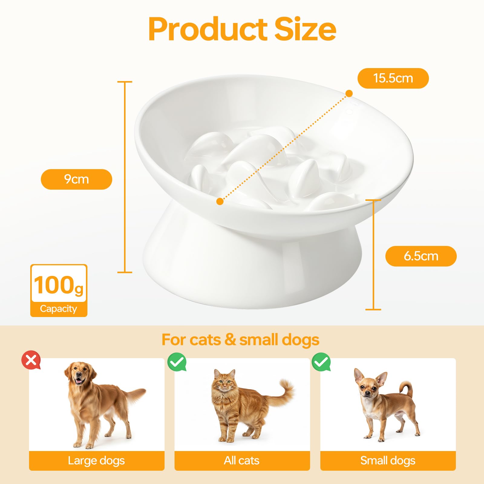 Pettom dishwasher-safe raised bowl simplifies cleaning after meals