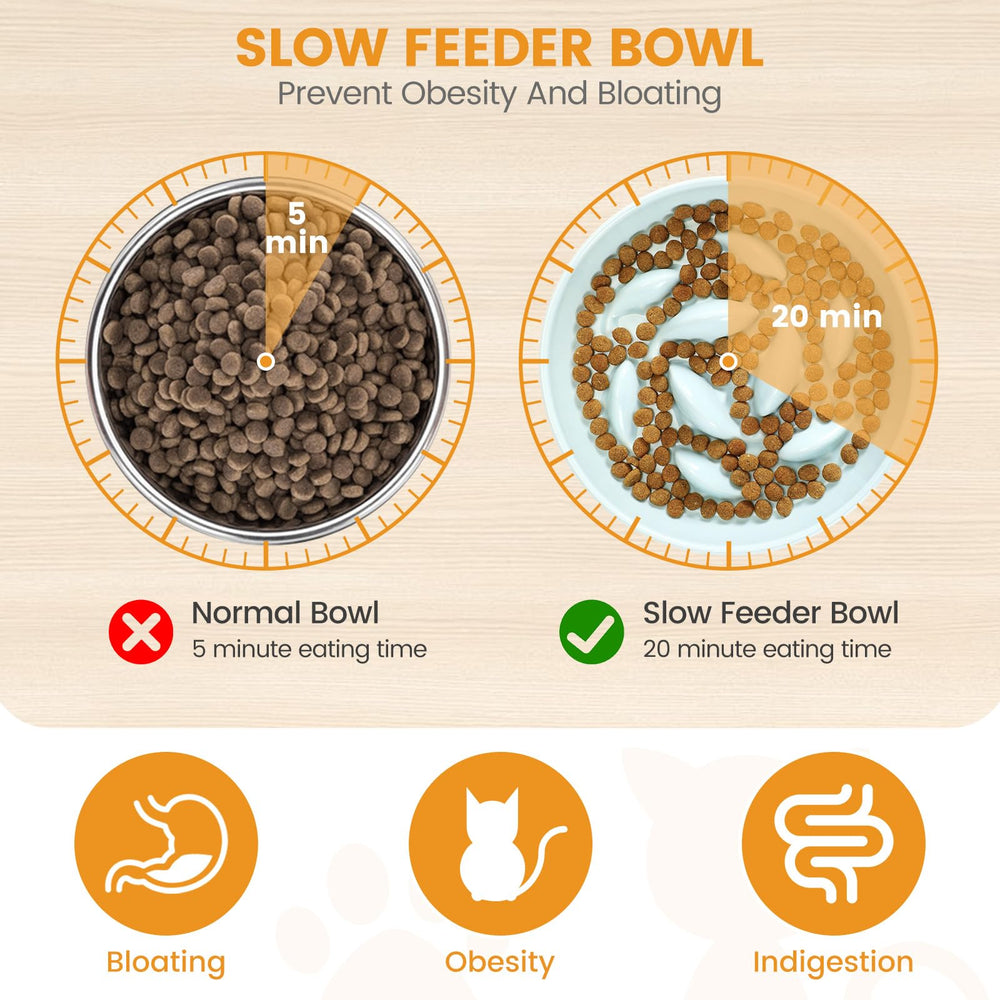 PETTOM elevated ceramic bowl designed for relaxed mealtimes.