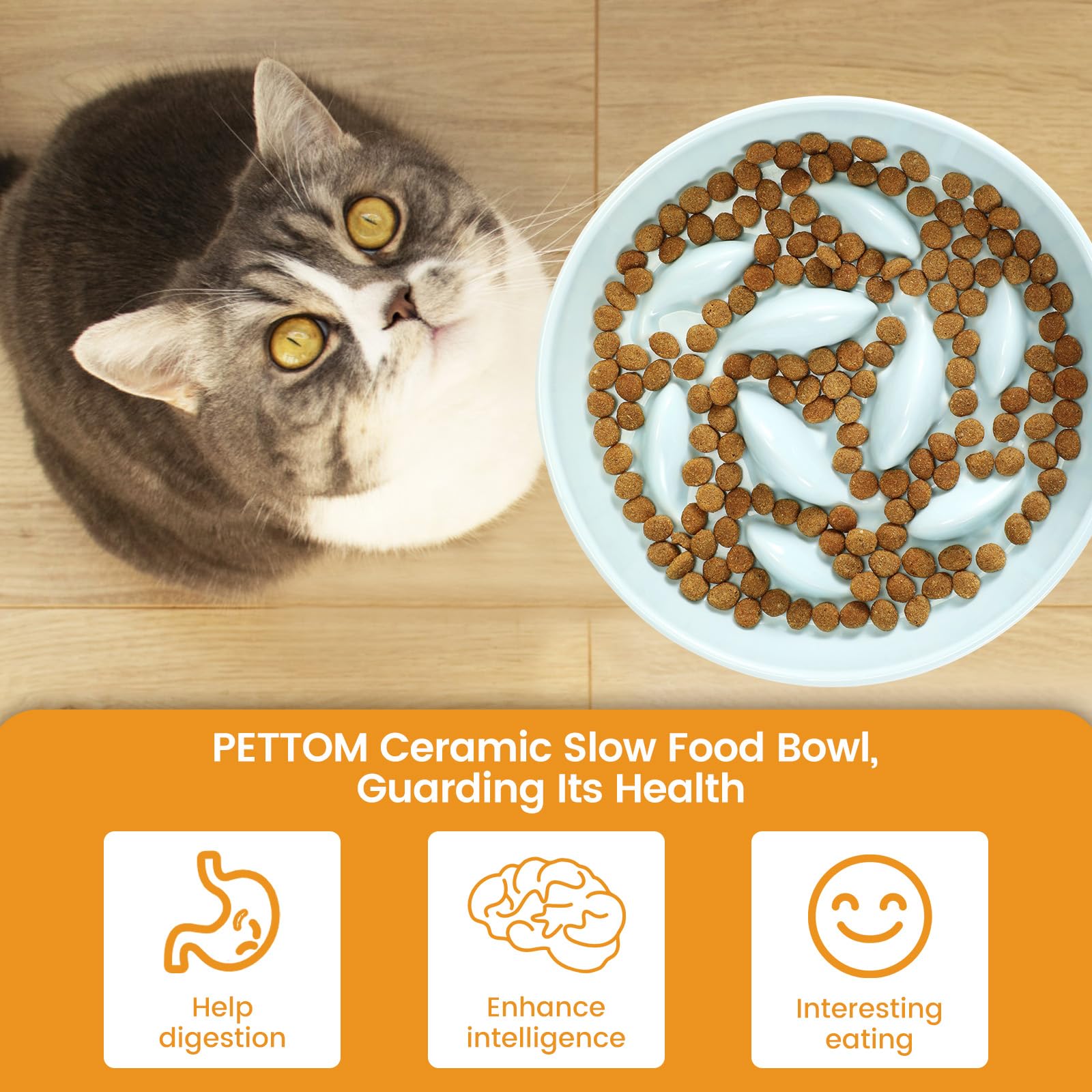 PETTOM fish-design slow feeder helps pace cat meals.