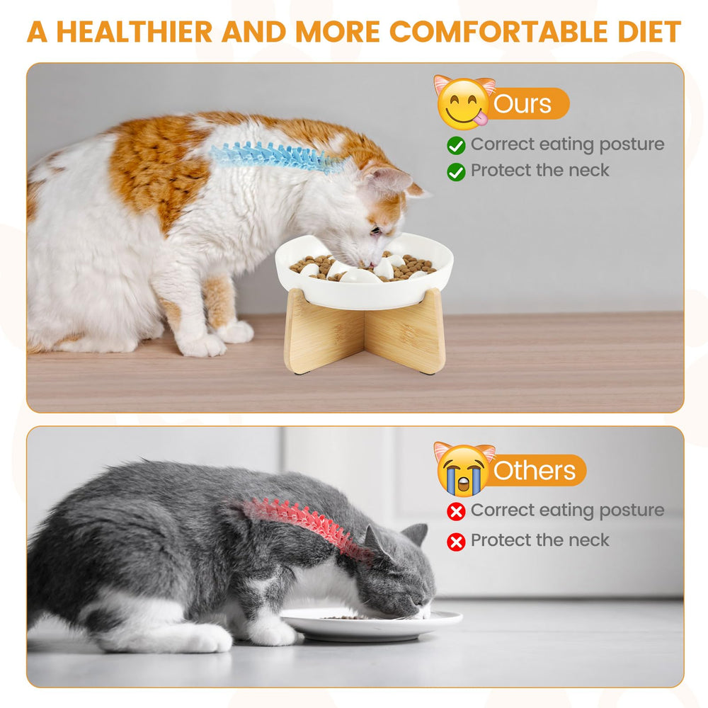 Pettom Food-grade Ceramic Bowl ensures safe, durable mealtime.