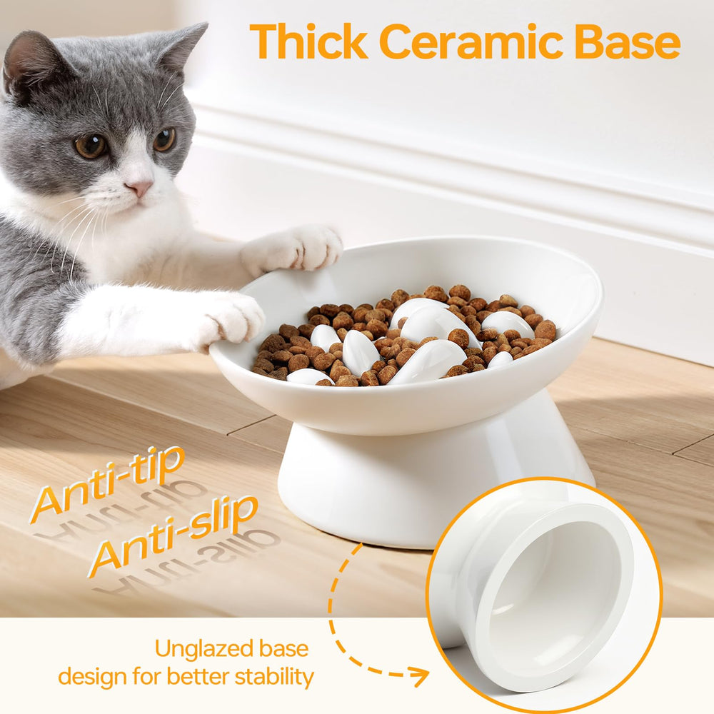 Pettom glazed surface resists stains and odors during meals