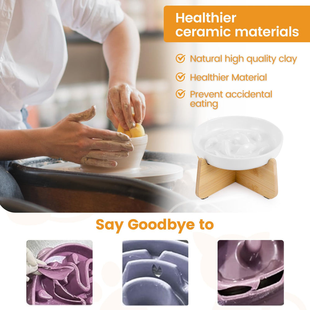 Pettom Microwave and Dishwasher Safe Bowl for easy daily cleaning.