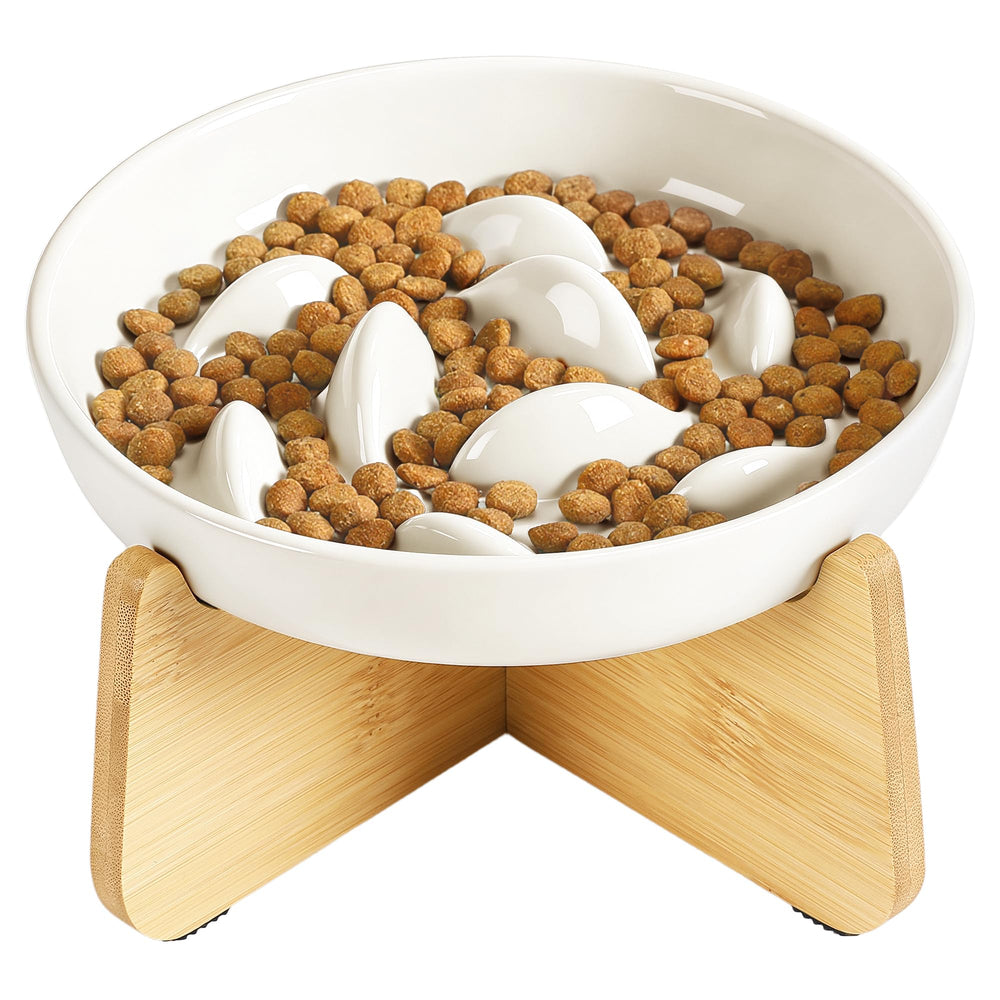 Pettom Slow Feeder Cat Bowl with Stand - elevated design for comfortable meals.