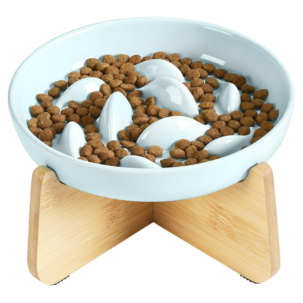 PETTOM slow-feeder cat bowl with stand promotes comfortable eating posture.