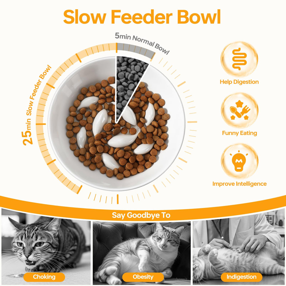 Pettom slow feeder cat bowl wide-mouth for whisker-friendly access