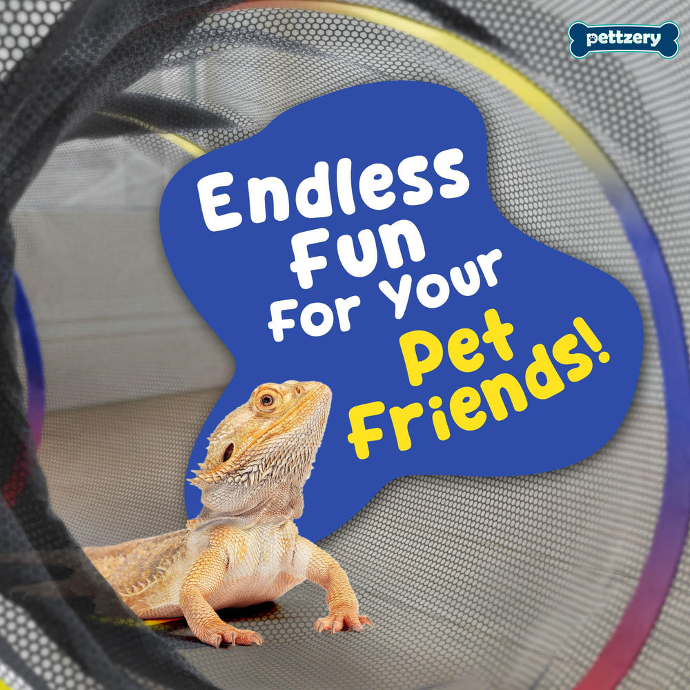 Pettzery multi-animal enclosure accommodating cats, rabbits, and small pets outdoors.