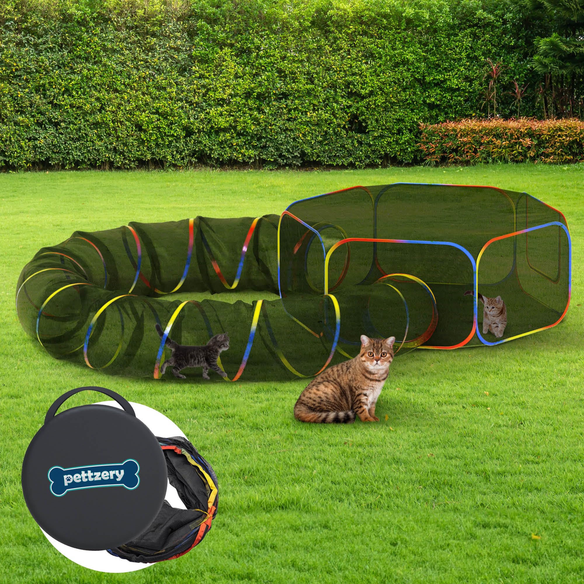 Pettzery outdoor cat enclosure playpen in sunlight for safe outdoor exploration.