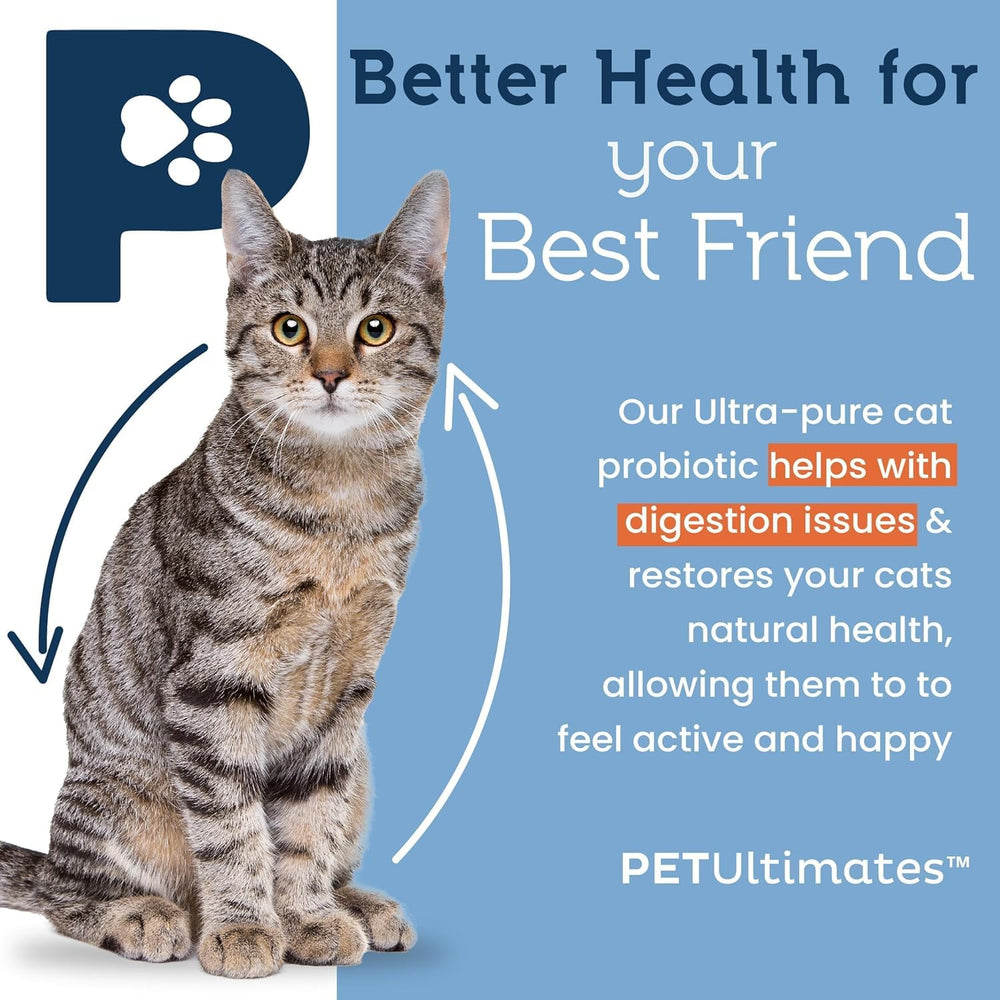 PetUltimates cat probiotics dosing spoon shows easy meal mixing