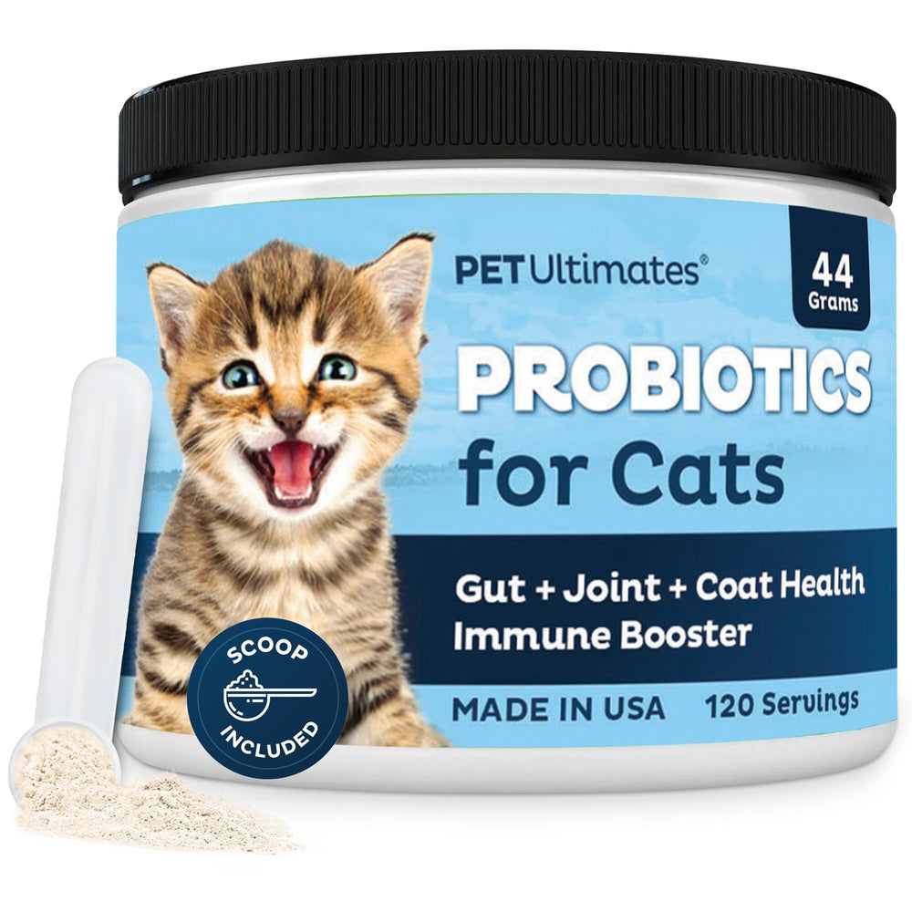 PetUltimates cat probiotics bottle close-up for daily gut balance