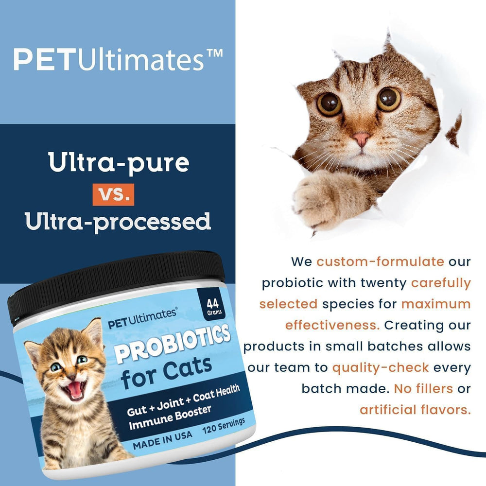 PetUltimates cat probiotic powder dispensed onto food for digestion