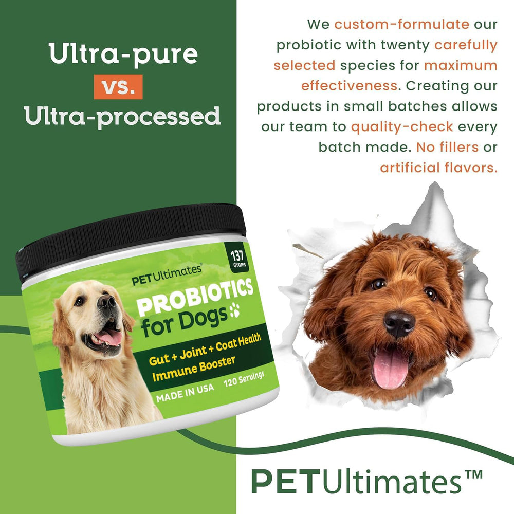 Pet Ultimates probiotics in dog bowl illustrating easy daily supplement administration.