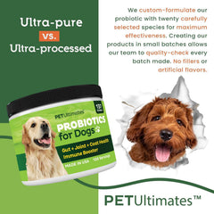 Pet Ultimates probiotics in dog bowl illustrating easy daily supplement administration.