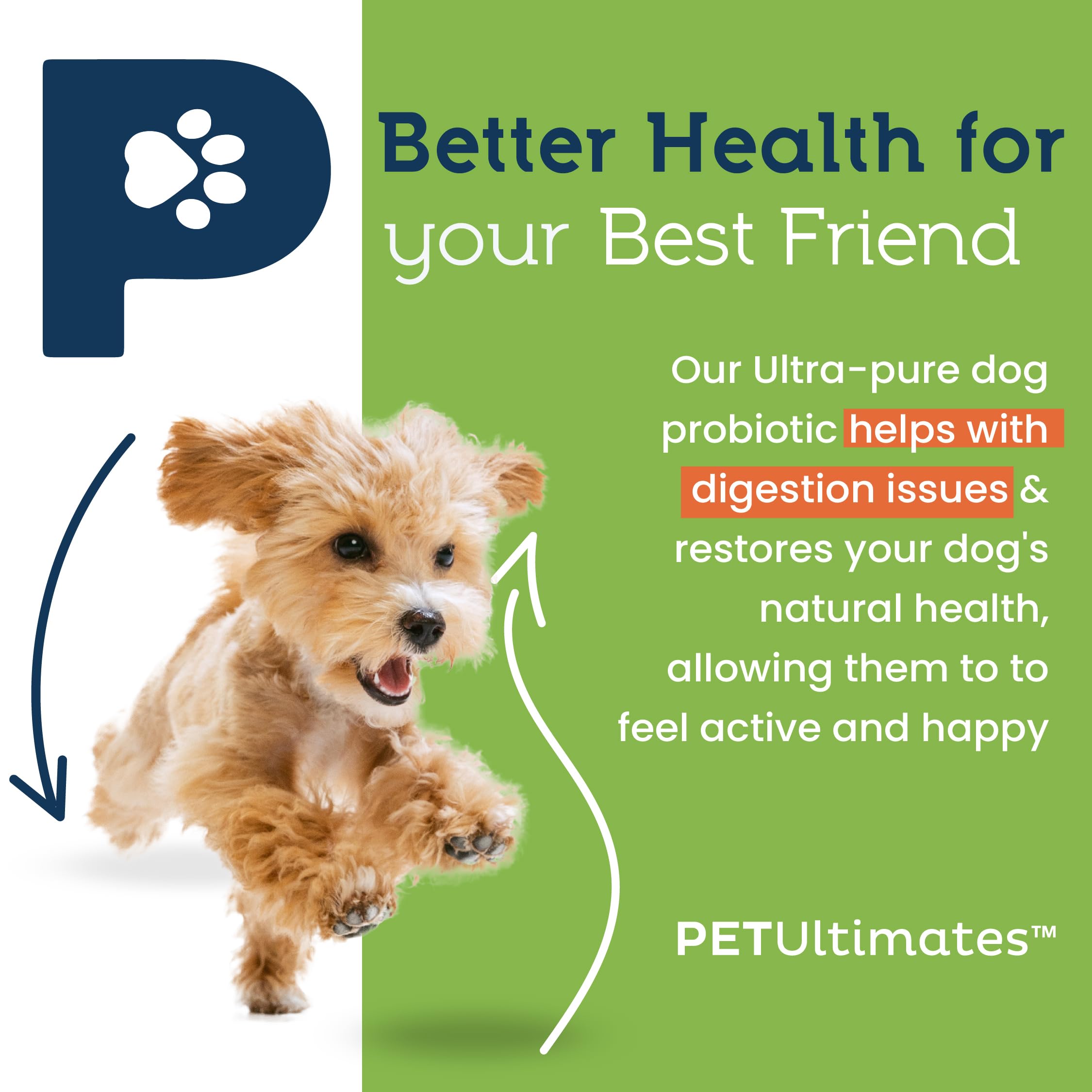 Pet Ultimates probiotics scoop mixing into dog food for daily digestive balance.