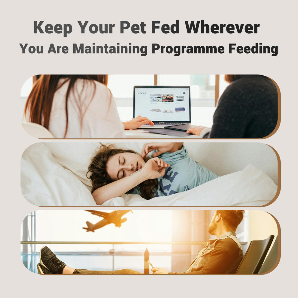 PETULTRA auto feeder designed for cats and small dogs on schedule.