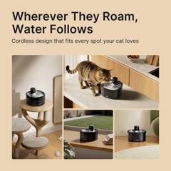 PETUNO cat water fountain locking lid demonstrating spill-proof design for busy homes