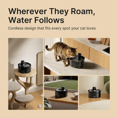 Detachable 4000mAh battery powers the fountain without cords.