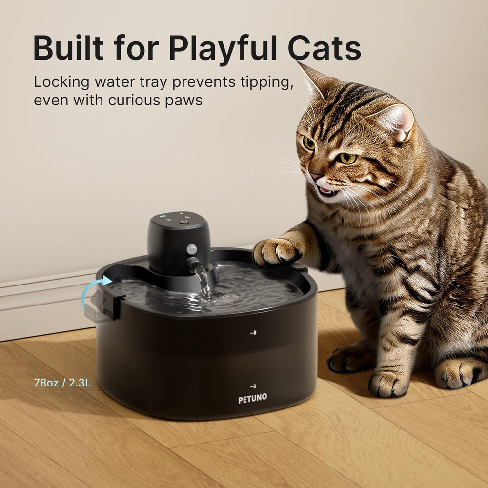 Locking lid guards against spills and curious paws.
