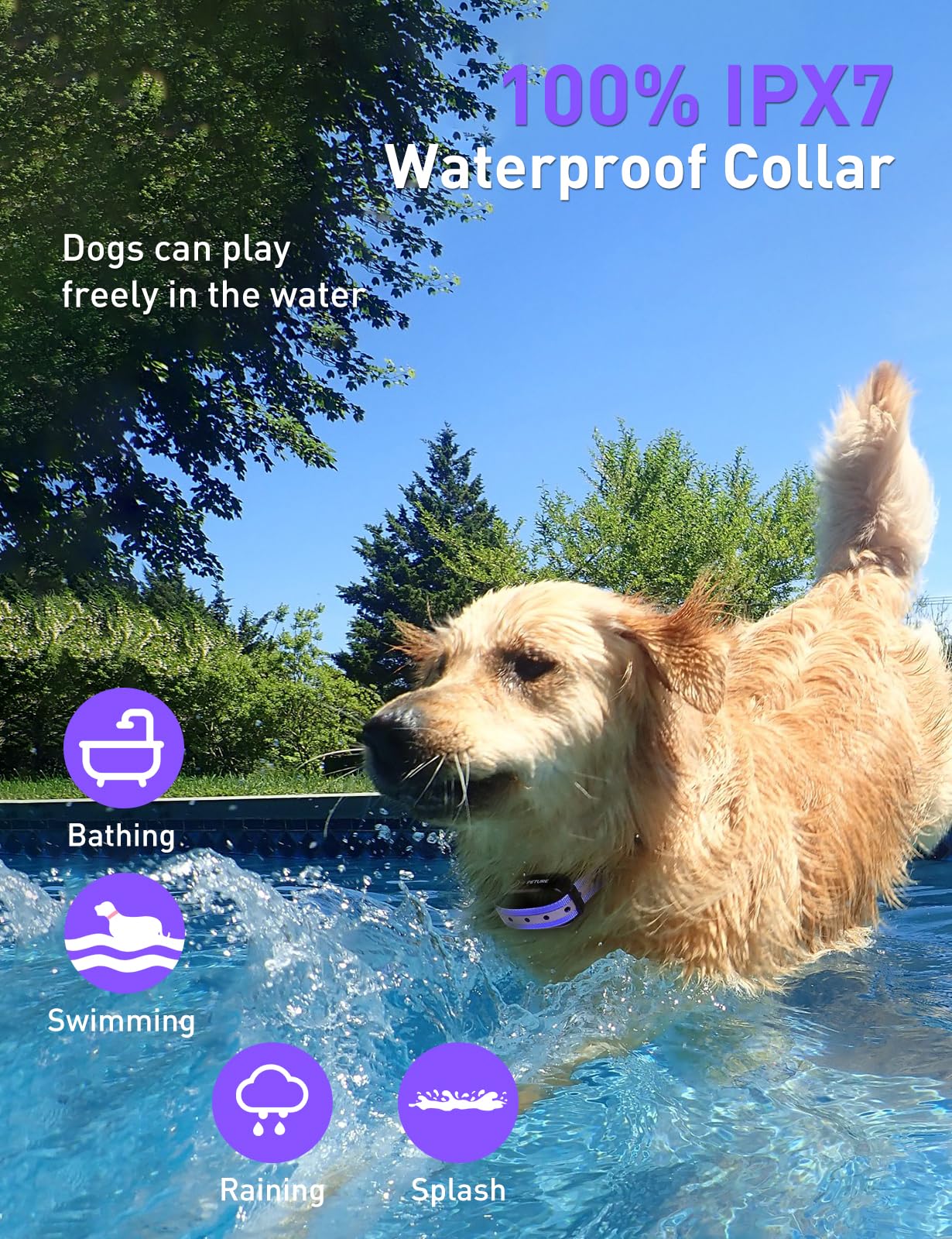 Peture adjustable TPU strap fits dogs 10-120 lbs with comfort.