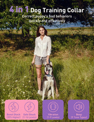 Peture remote control shown for easy 1-2 dog training control.