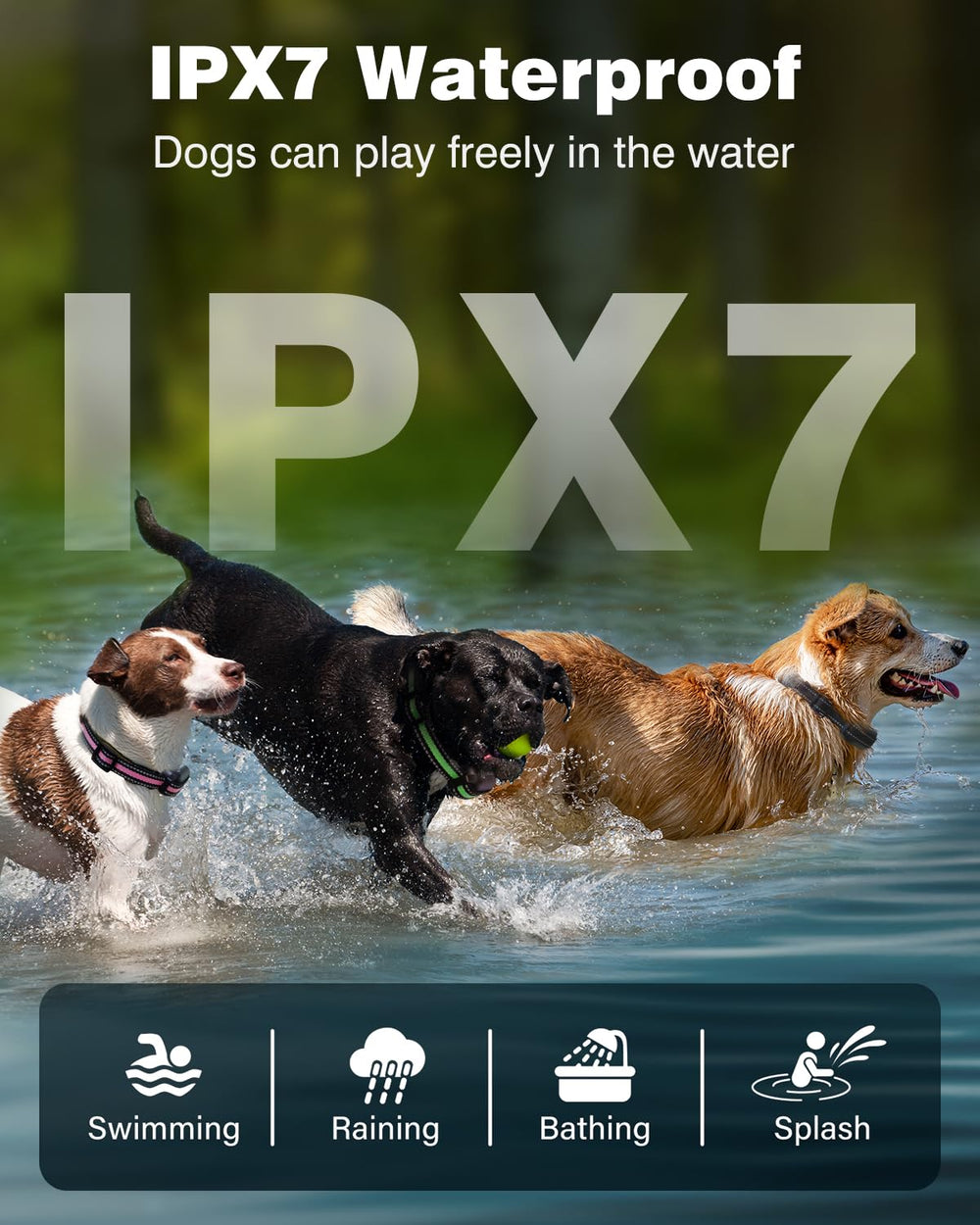 PETURE IP67 waterproof dog collar for rain, splashes, and water play