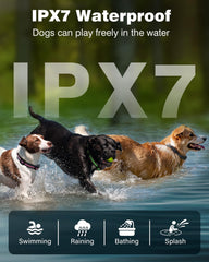 PETURE IP67 waterproof dog collar for rain, splashes, and water play