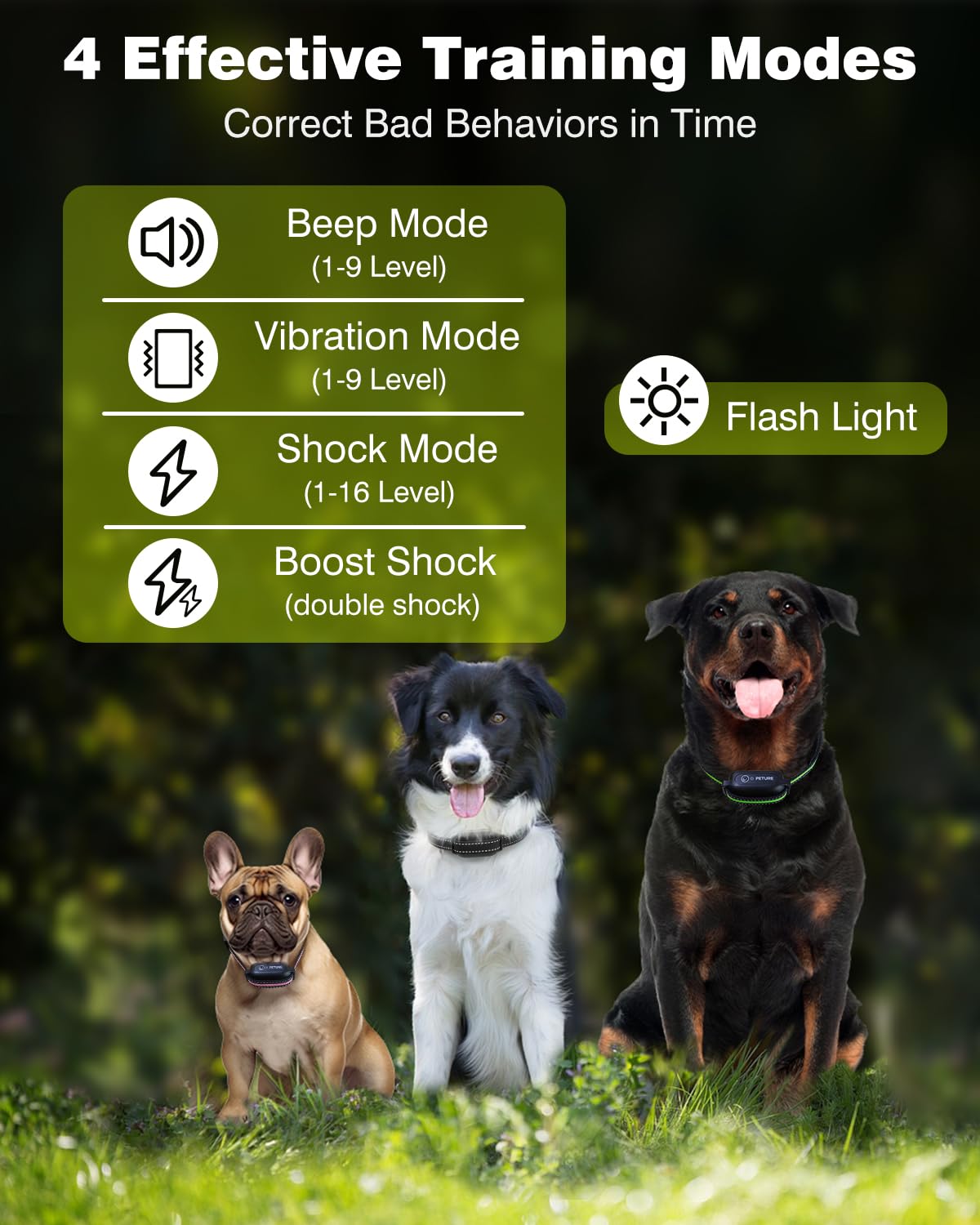 PETURE collar features a safety lock to prevent misoperation during training