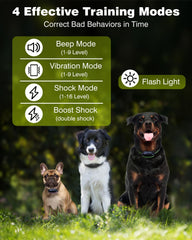 PETURE collar features a safety lock to prevent misoperation during training