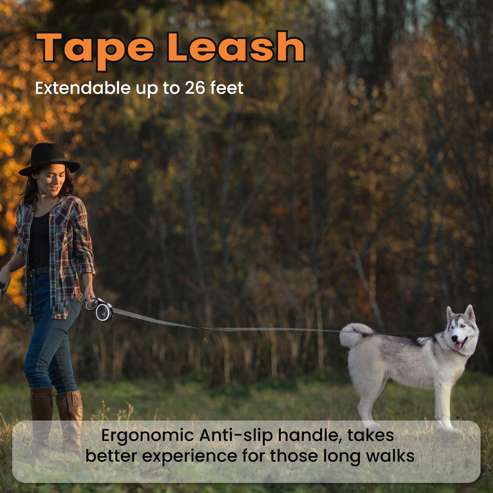 PetVest sleek black leash design suitable for everyday use.