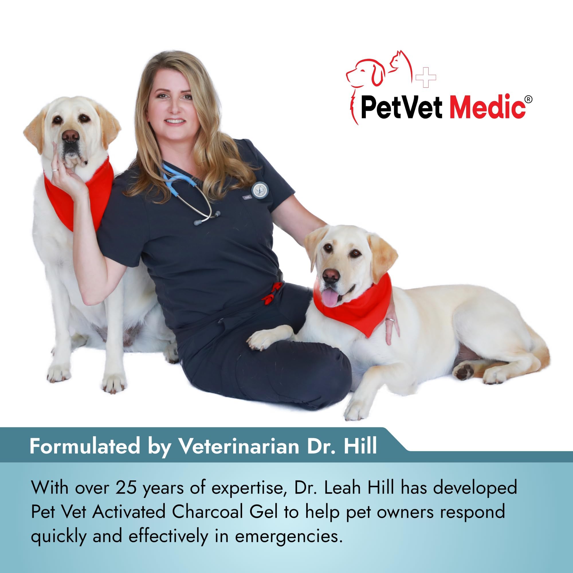 PetVet Medic charcoal gel included in dog and cat first aid kit