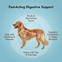 PetVet Medic use at home for dogs and cats in emergencies.