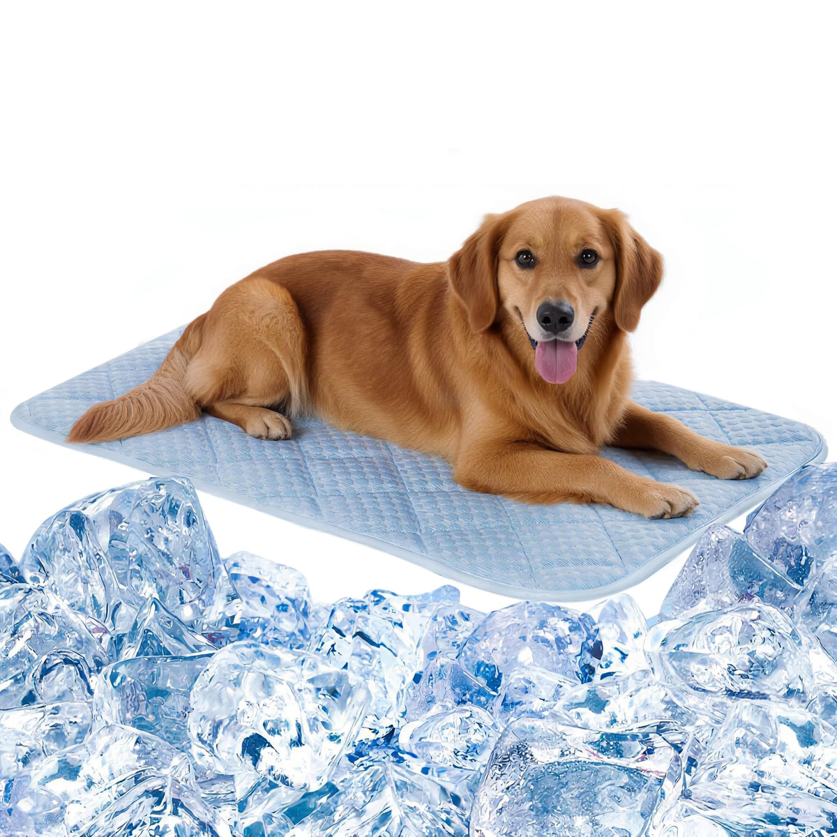 Petvolve dog cooling mat surface delivers quick relief on hot days.