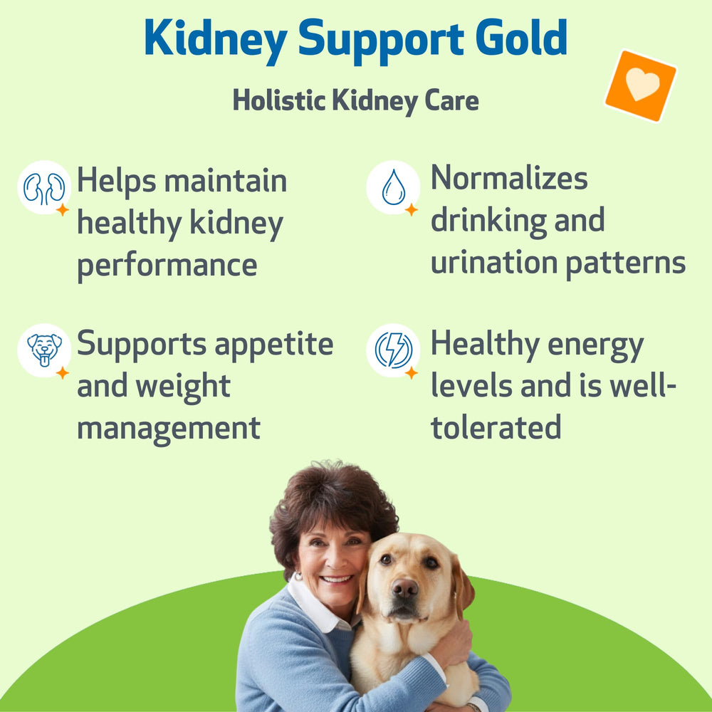 Pet Wellbeing Kidney Support Gold bottle being poured for dog dosing.