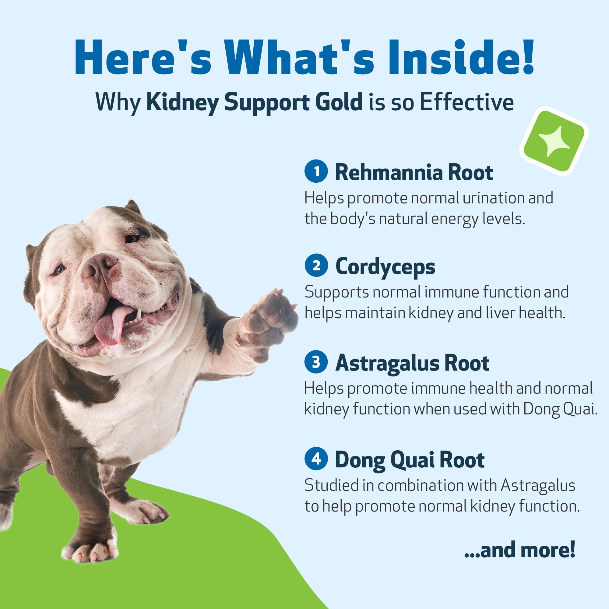 Close-up of Pet Wellbeing Kidney Support Gold label and herbal blend.
