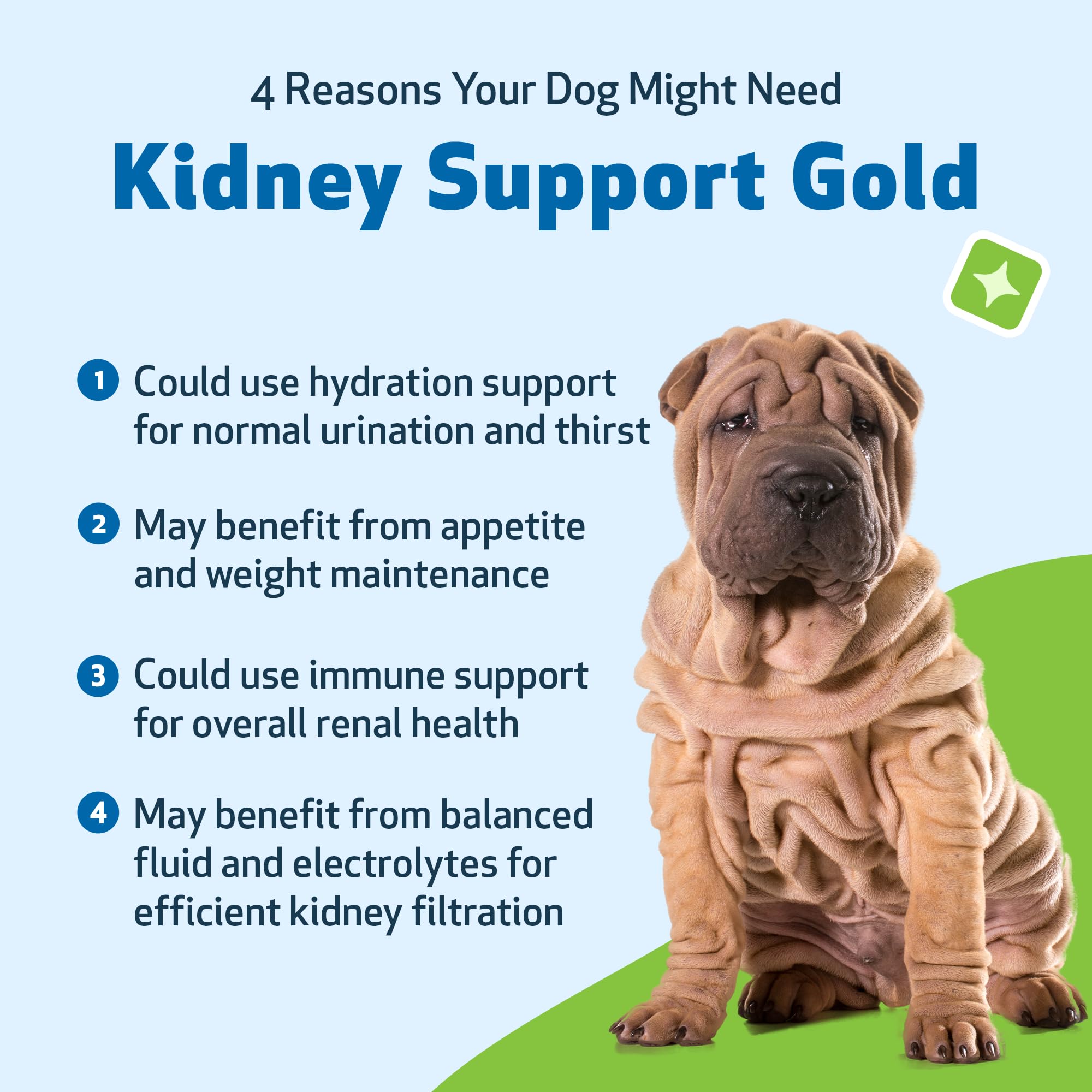 USA-made Pet Wellbeing Kidney Support Gold bottle displayed with quality assurance badge.