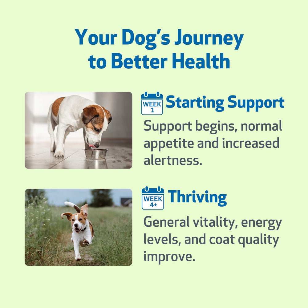 Pet Wellbeing Life Gold natural herbal blend for resilient immunity.
