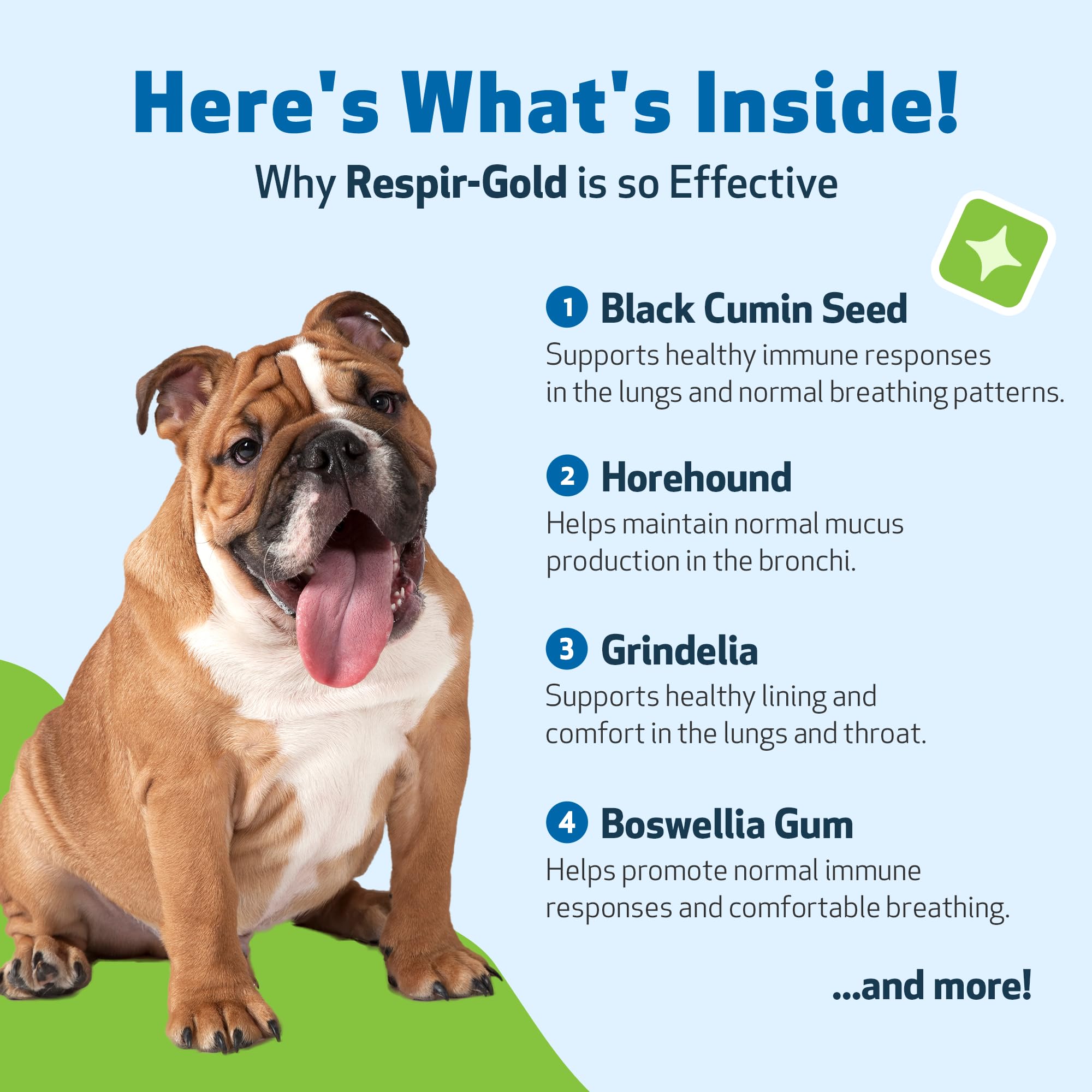 Pet Wellbeing Respir-Gold dropper dispensing liquid for quick administration.