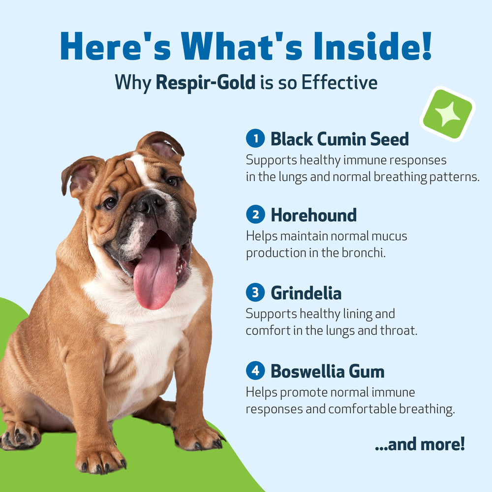 Pet Wellbeing Respir-Gold dropper dispensing liquid for quick administration.