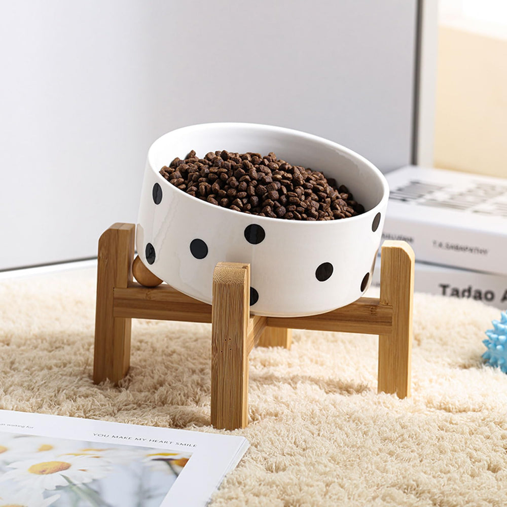Petygooing 28 oz capacity suits small to medium pets.