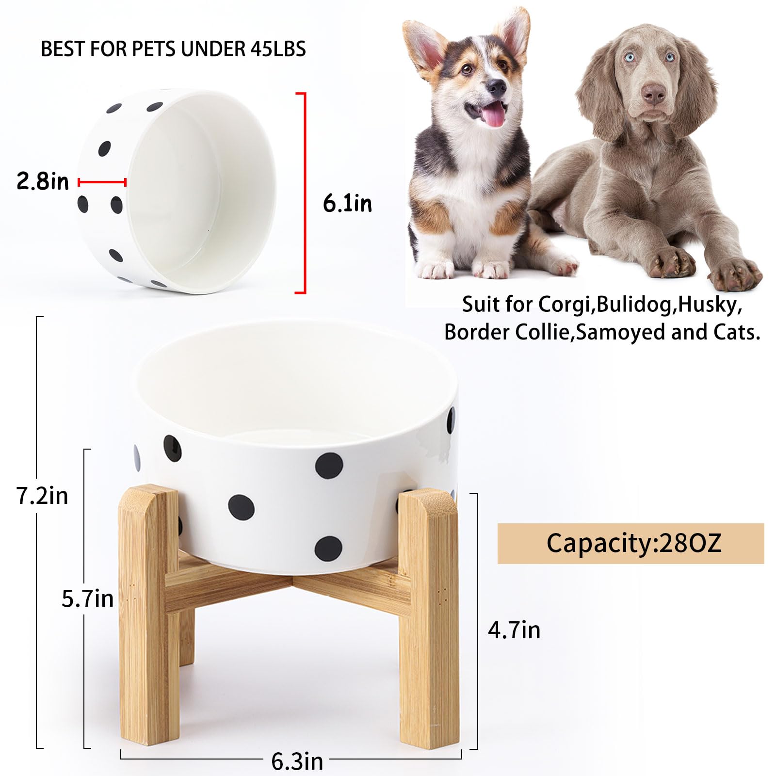 Petygooing black dot design adds modern style to pet meals.