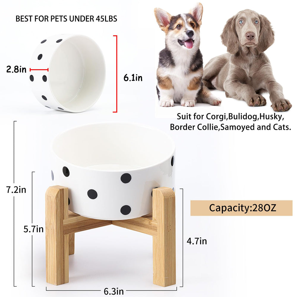 Petygooing black dot design adds modern style to pet meals.