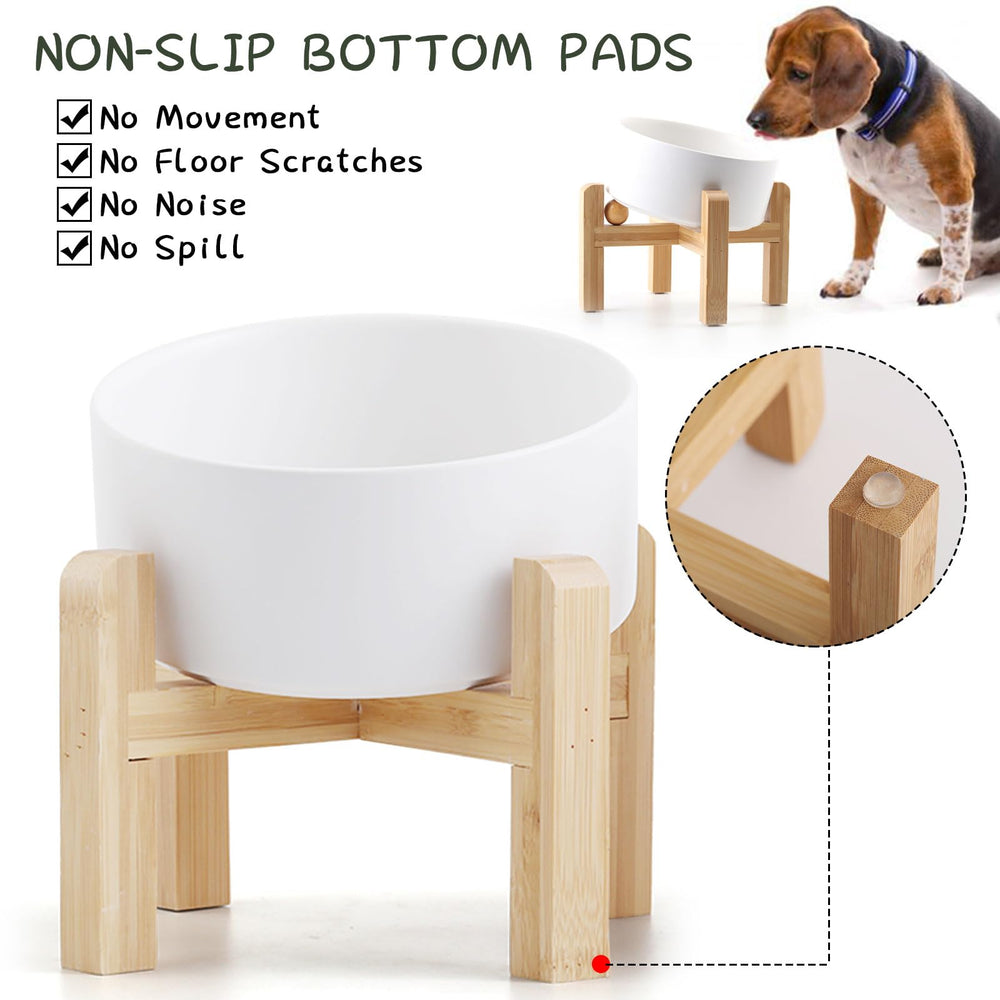 Petygooing ceramic porcelain bowl lead-free and easy to clean