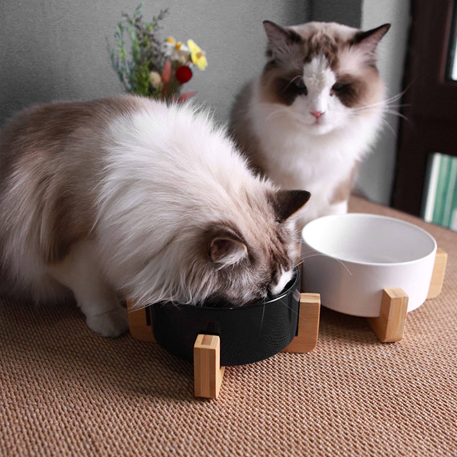 Petygooing dishwasher-safe ceramic bowls simplify cleaning and daily use